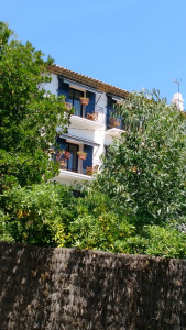 Le Relais des Maures — photo 8