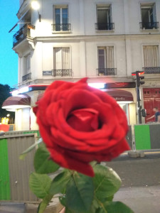 Café URBAIN — photo 6