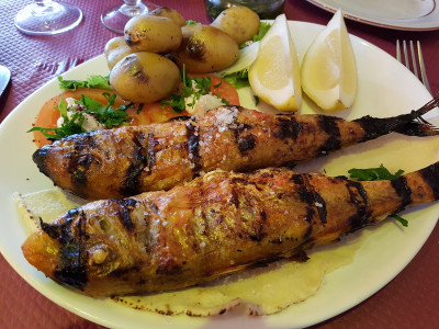 Feyrouz Côté Mer — photo 7