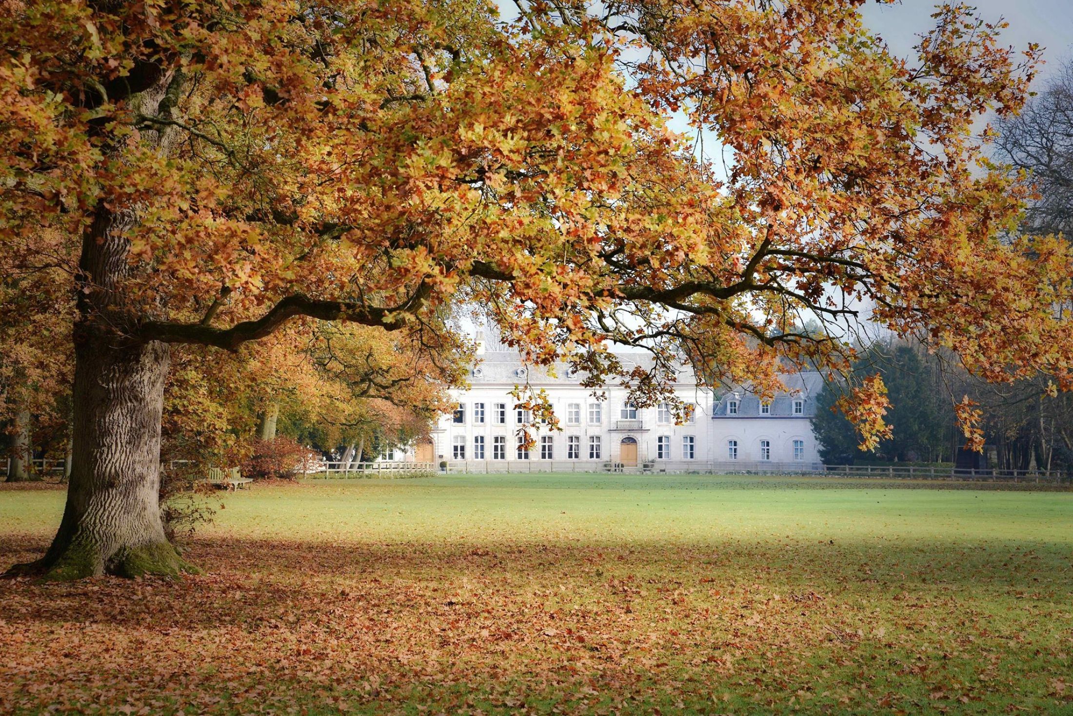 Le château de cocove