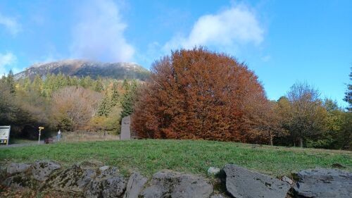 Auberge des Gros Manaux — photo 8