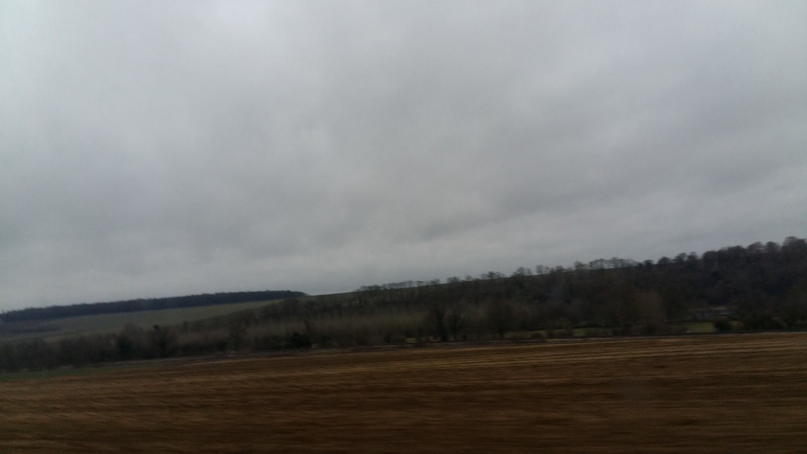 Le Guillaume Tell — photo 9
