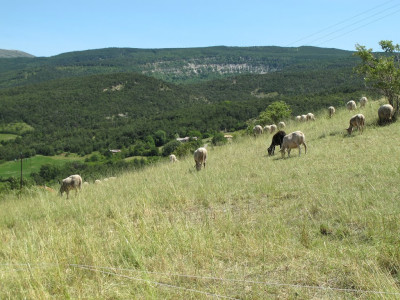 Auberge des Baronnies — photo 4