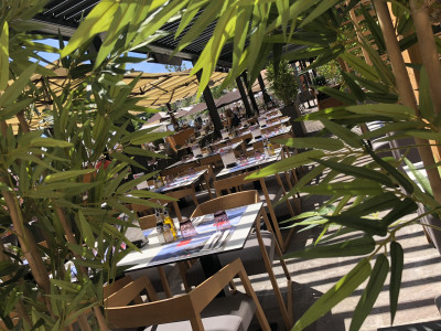Le Cosmo — photo 5