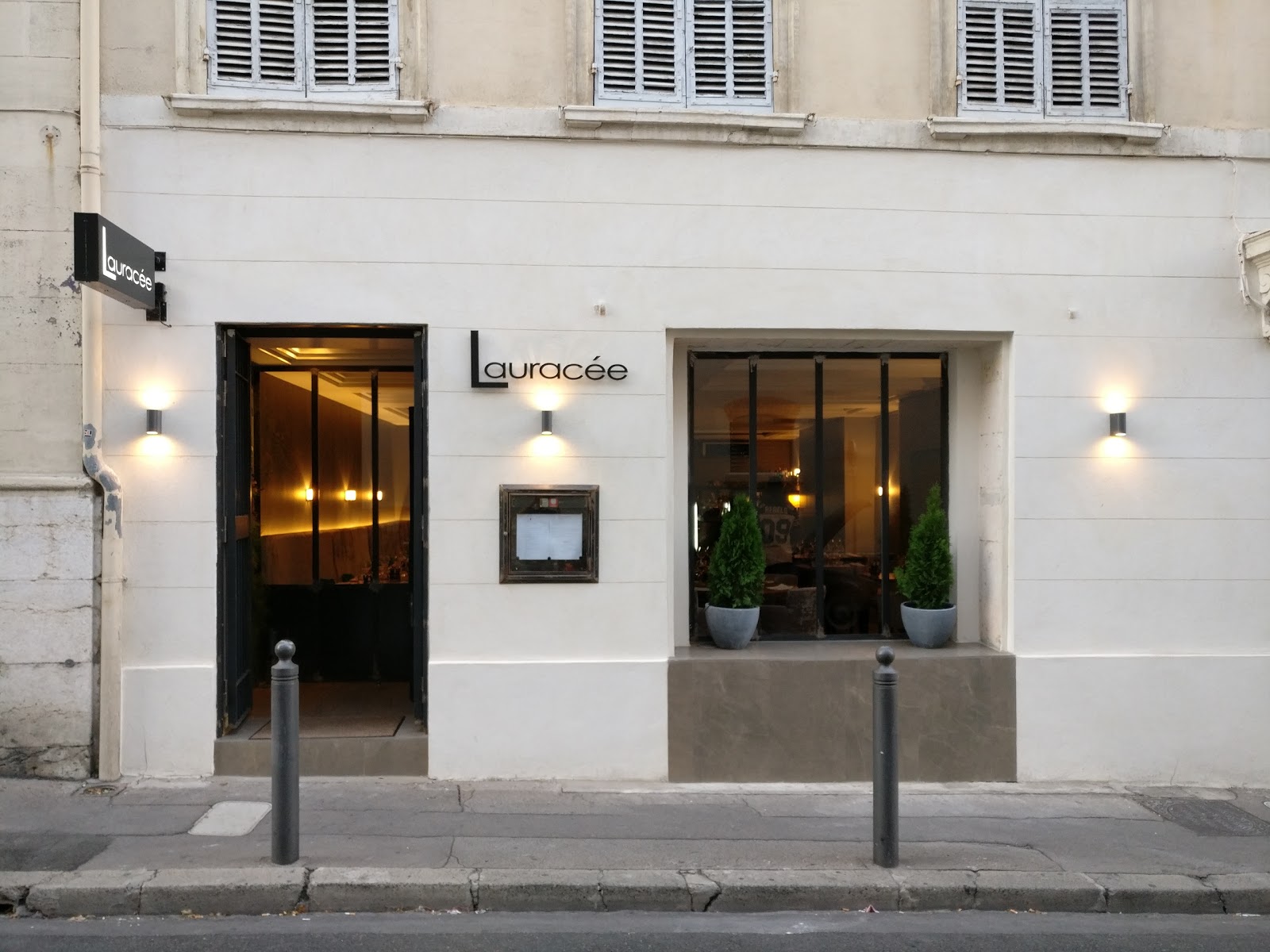 Lauracée — photo 3