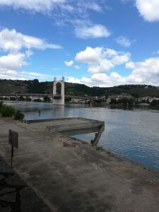 LE BELLEVUE — photo 4