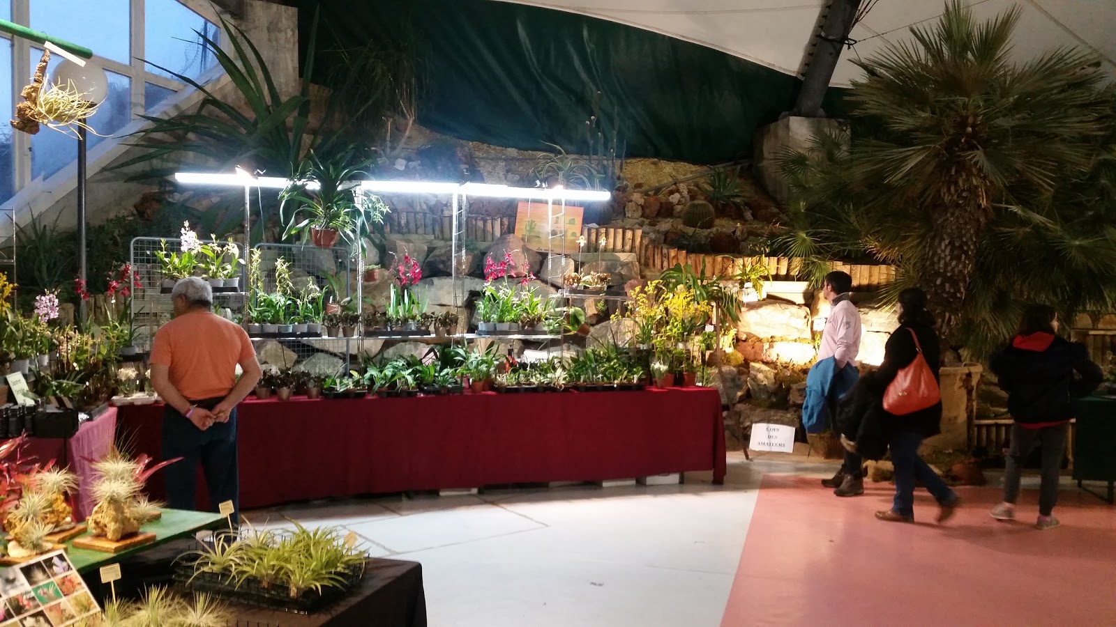 Les Antilles de Jonzac — photo 7