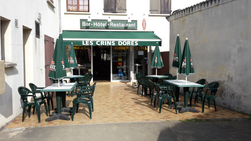 Les crins dorés — photo 6
