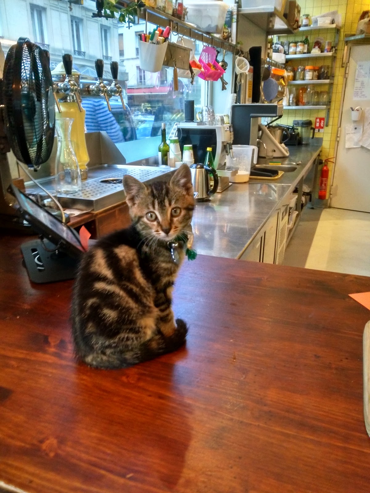 Cantine Le Myrha (Bio-Vegan) — photo 4