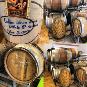La Tête dans le Local  — photo 4