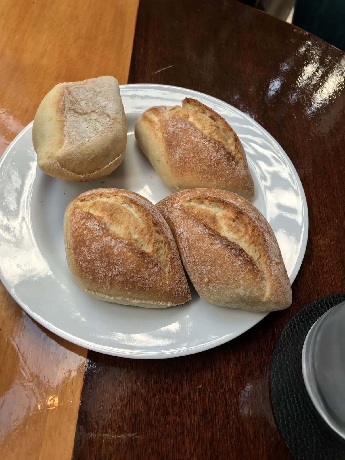Marty — photo 7