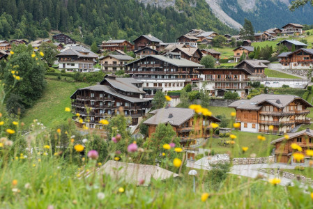 Le Petit Dru