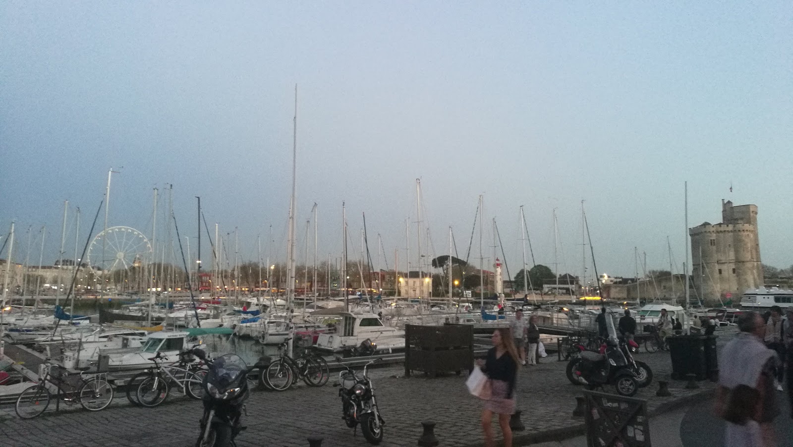 Pitaya La Rochelle — photo 8