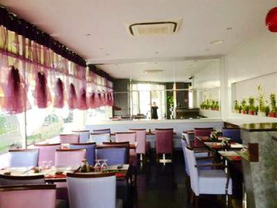 Toya — photo 7