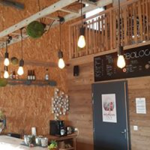 OBOLOCAL — photo 3