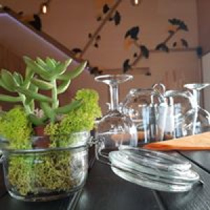 OBOLOCAL — photo 5