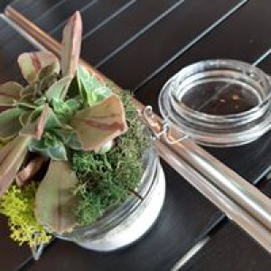 OBOLOCAL — photo 8