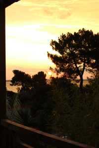 Mer et foret — photo 7