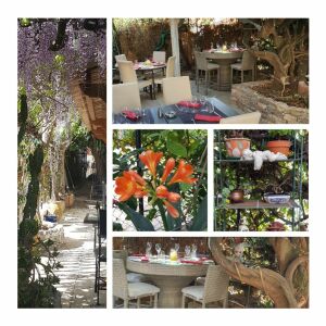 Rest' Ô Jardin — photo 10
