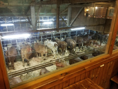 La Ferme de la Charbonnière — photo 5
