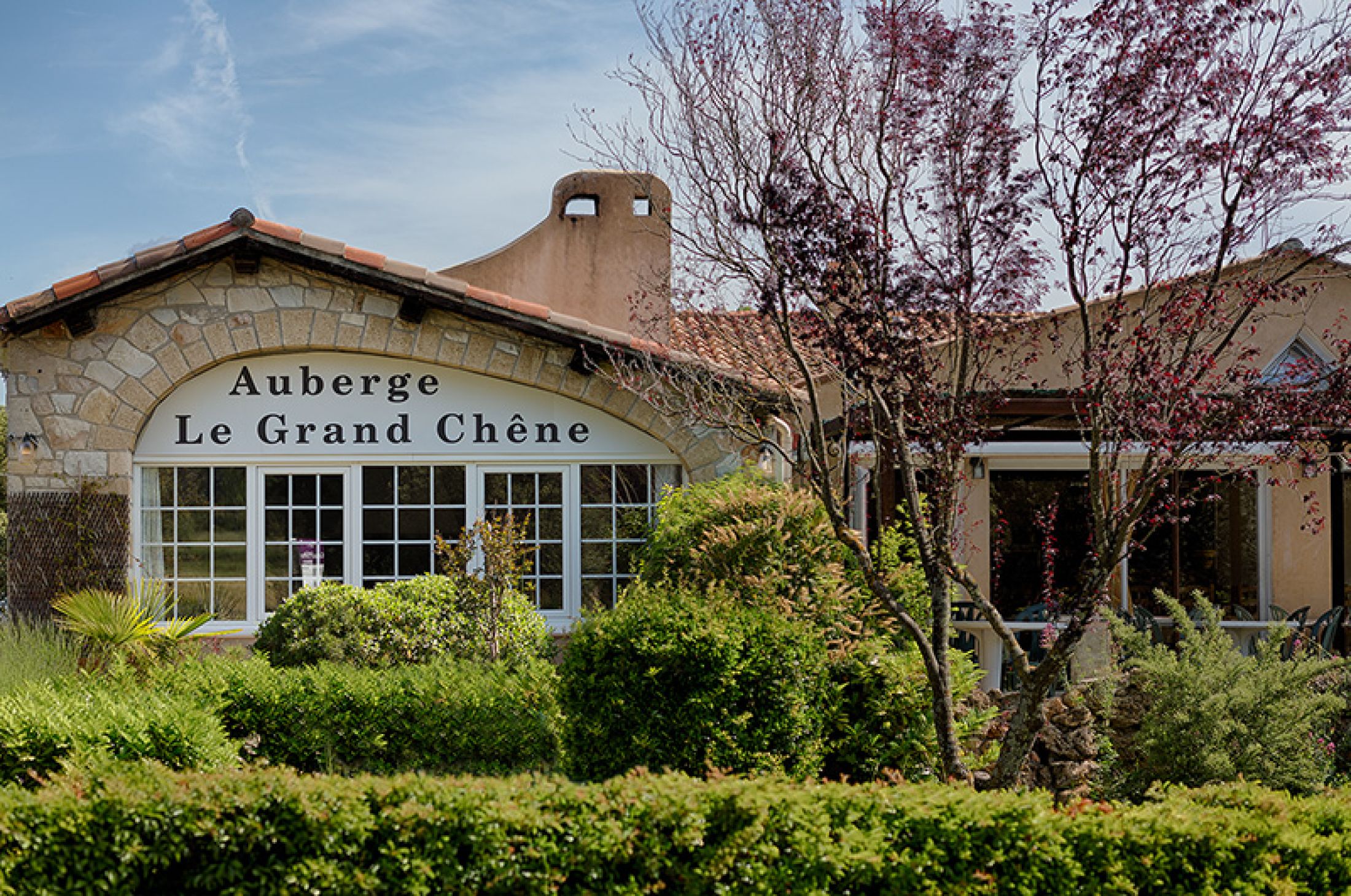 Le Grand Chêne