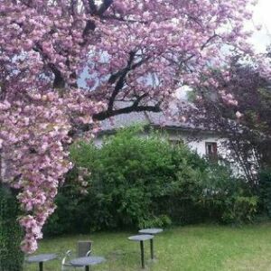 La Table d'AYZI — photo 3