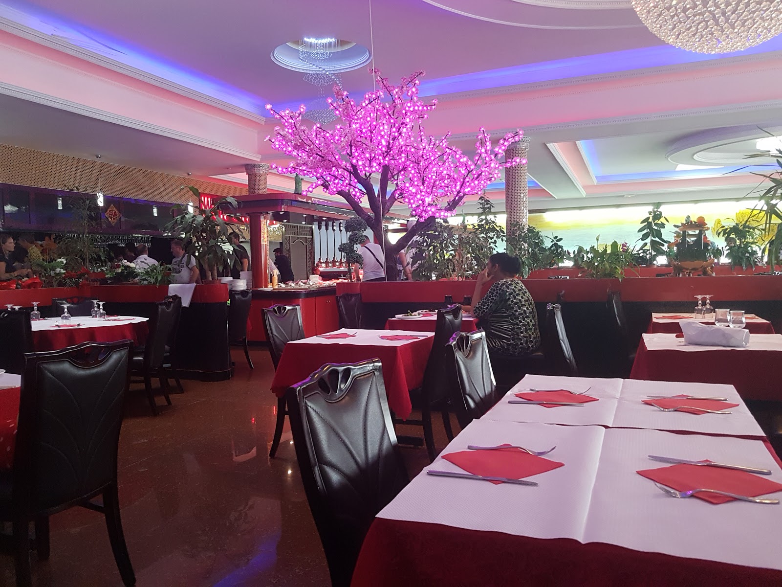 Dragon Wok — photo 1