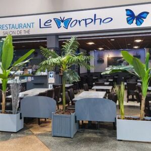 Le Morpho