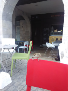 Lili Pasta & Gourmandises — photo 4