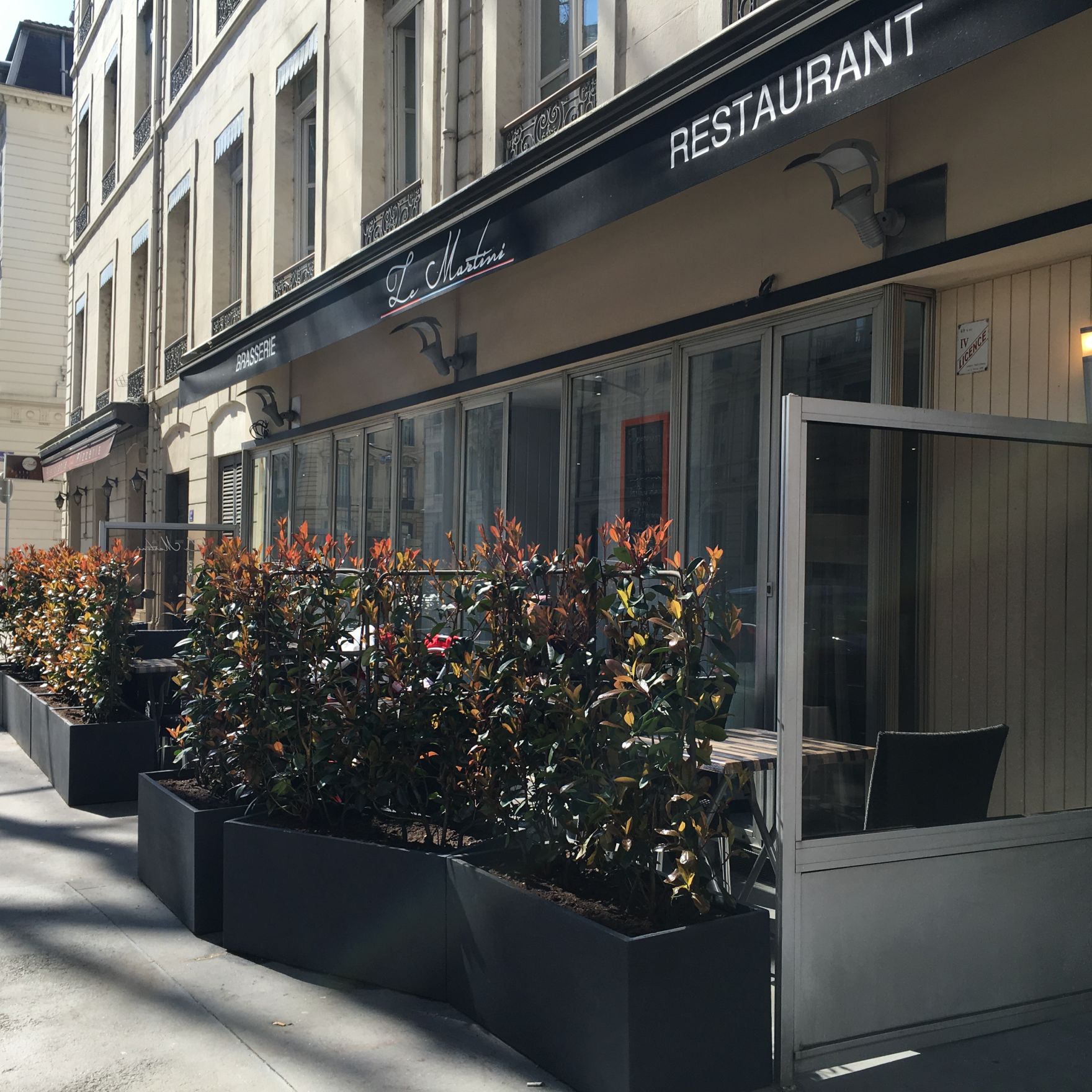 Le Martini