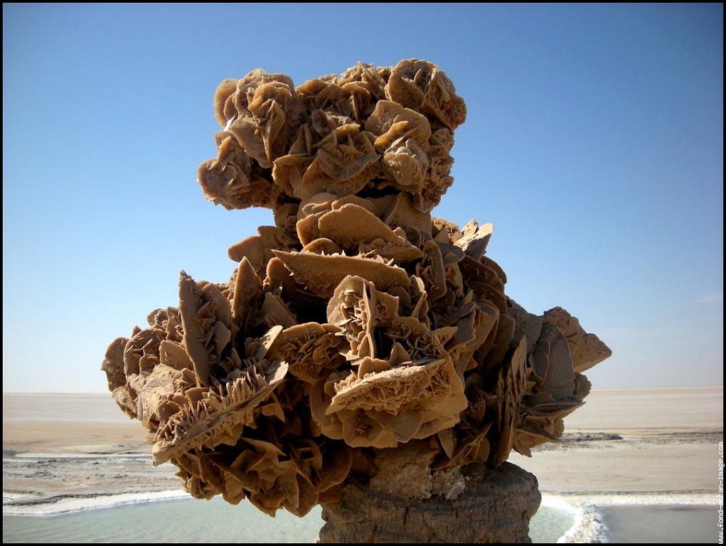 La Rose Des Sables — photo 5