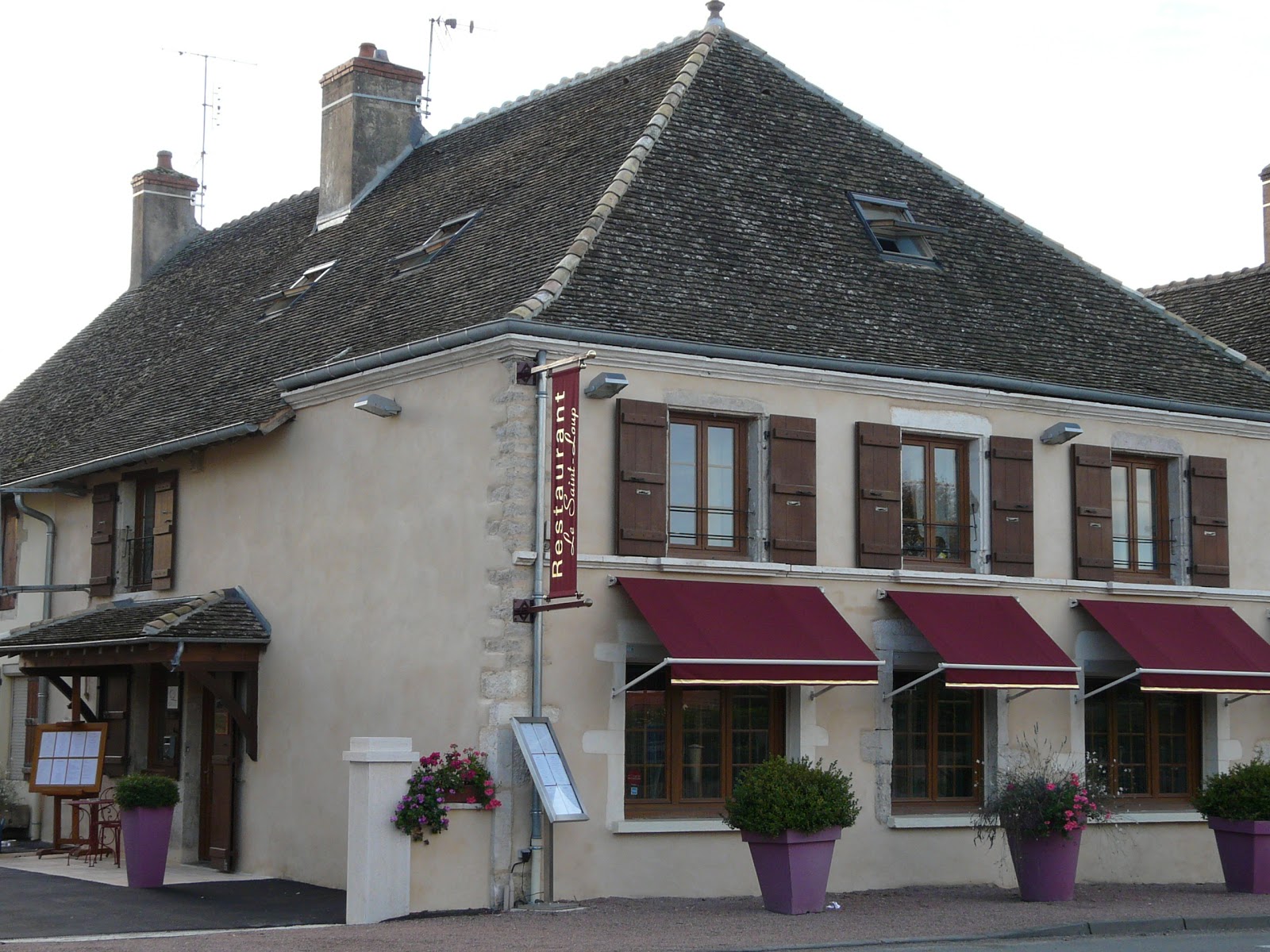 Le Saint Loup