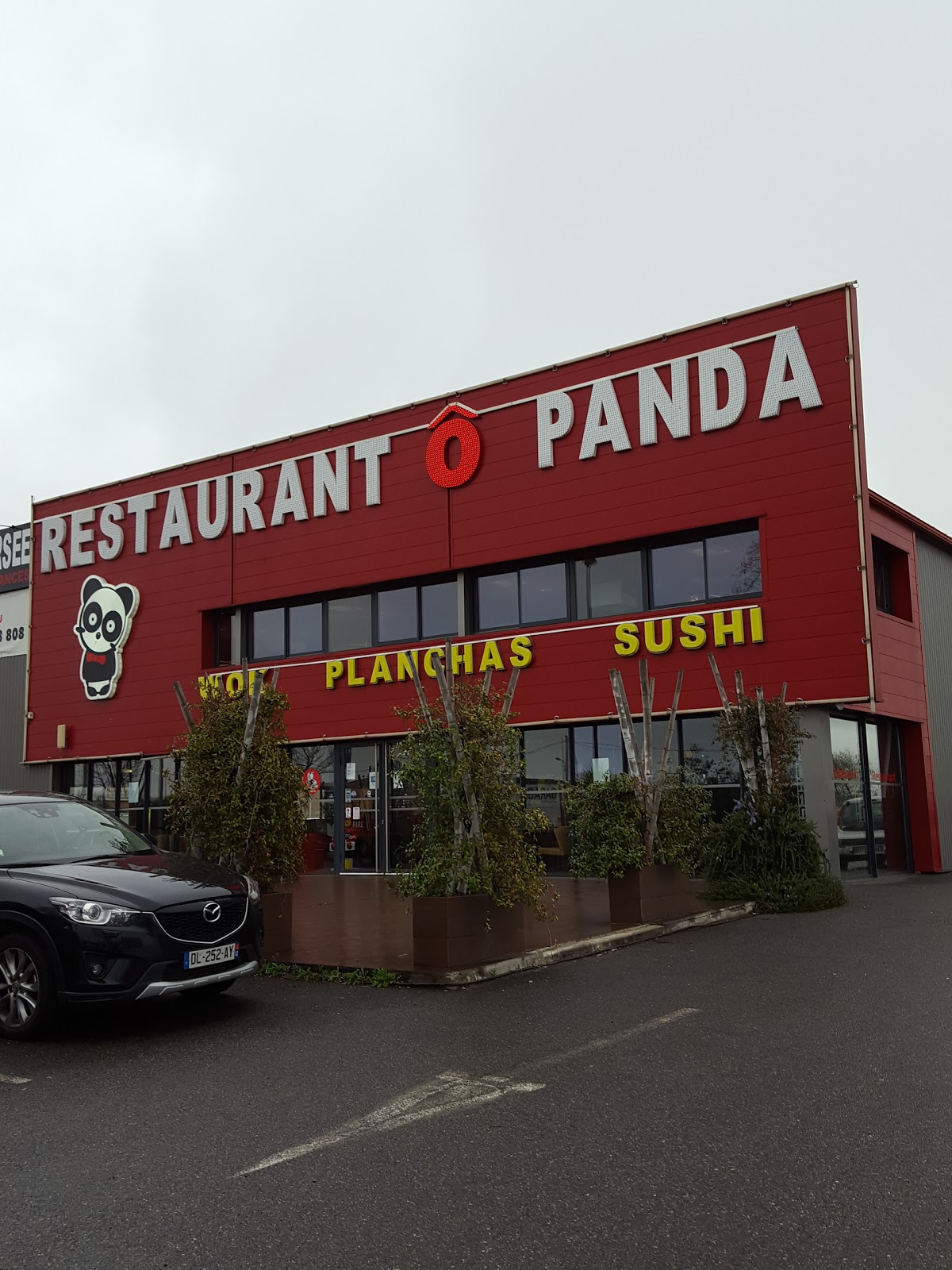 Ô Panda — photo 2