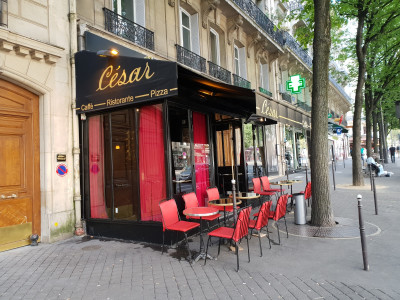 César — photo 2