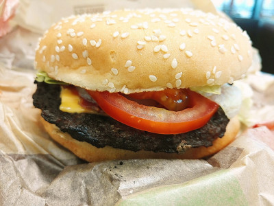 Burger King Lyon Taponas A6 — photo 9