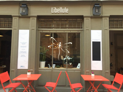 Libellule — photo 3
