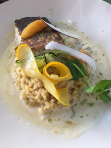 Terroir & Co — photo 4