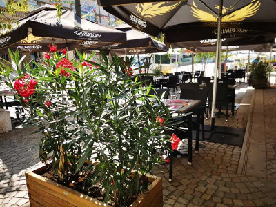 Le Divan  — photo 6
