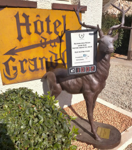 Le Grand Cerf — photo 4