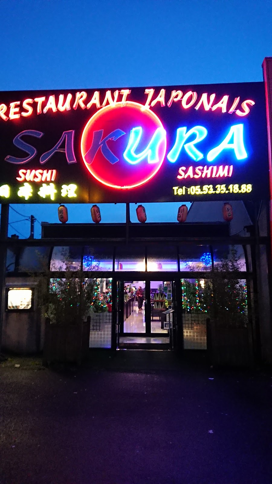 Sakura — photo 3