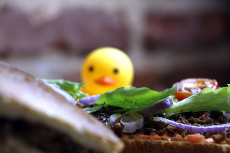 Duck Me Pomme — photo 4