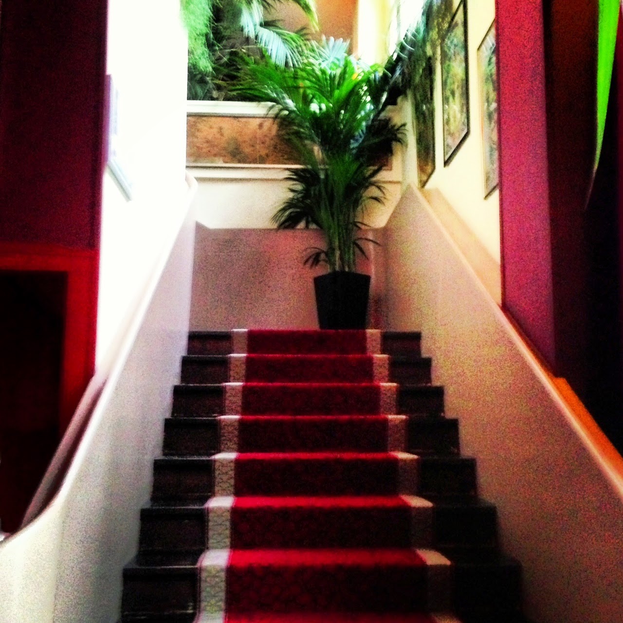 Le China — photo 4