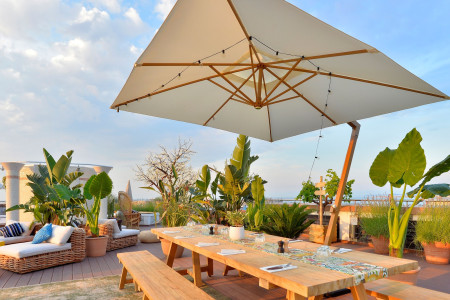 Farago on the roof