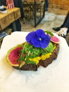 Avocateria — photo 8