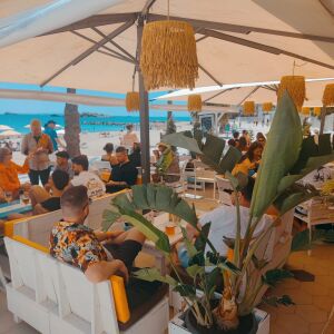 Haddock Eivissa bar restaurante — photo 5