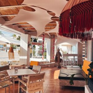 Haddock Eivissa bar restaurante — photo 7