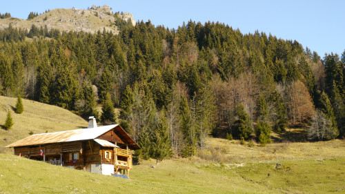 Auberge du Croix — photo 4