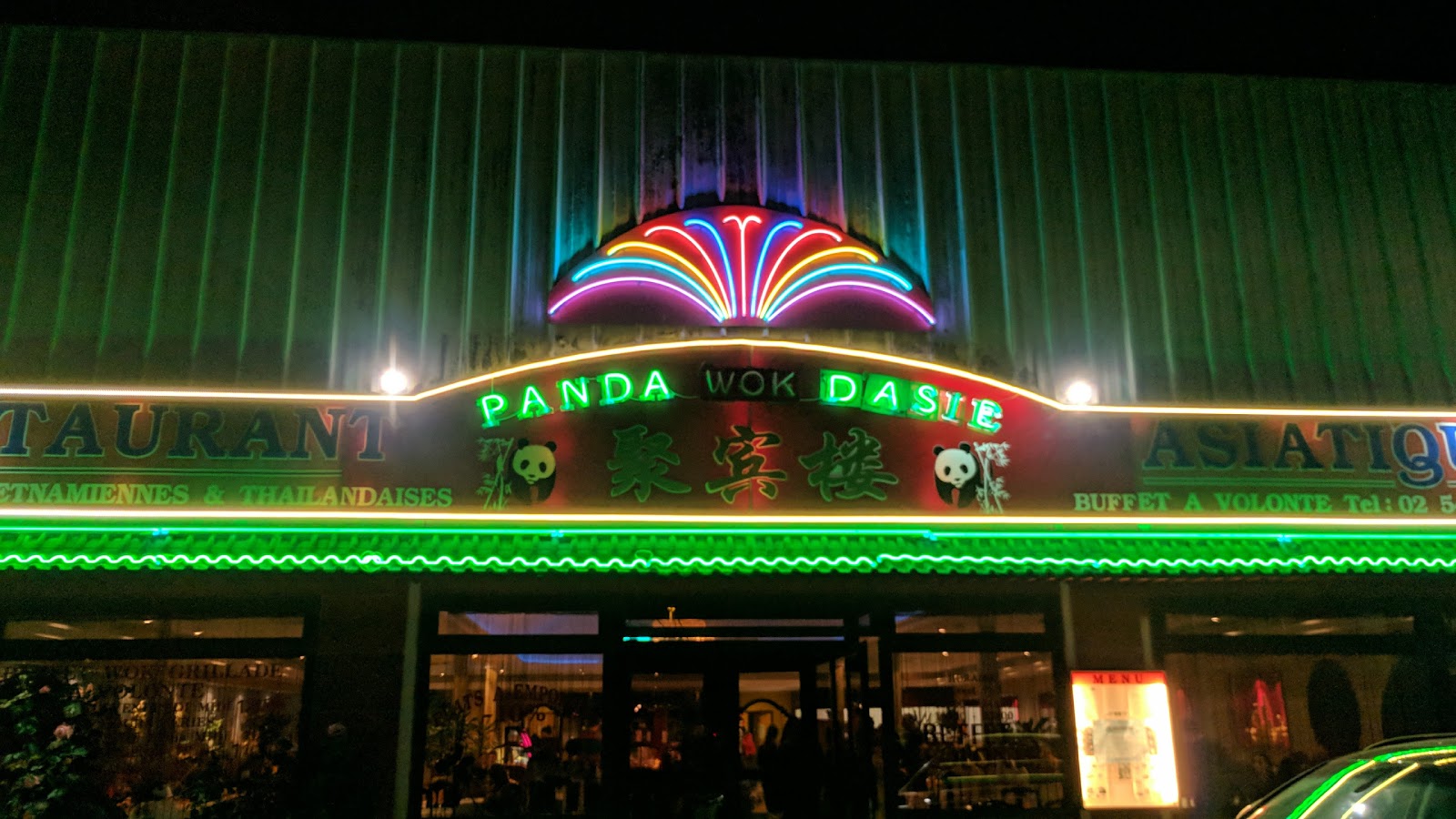 Panda d'Asie — photo 3