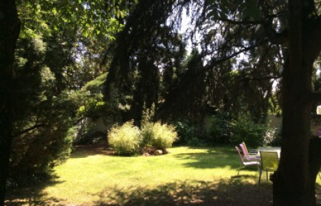 Les jardins de l'hamadryade — photo 6