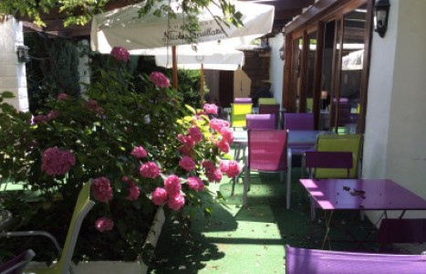 Les jardins de l'hamadryade — photo 7